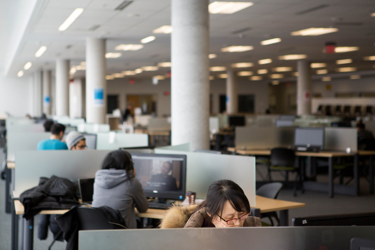 Students sitting in a row of private study carrels in the Library, absorbed in their work.